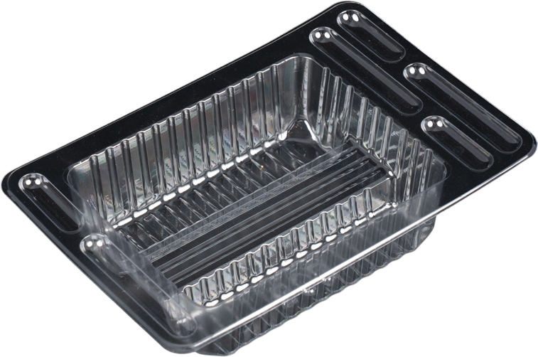 Food Thermoformed Containers